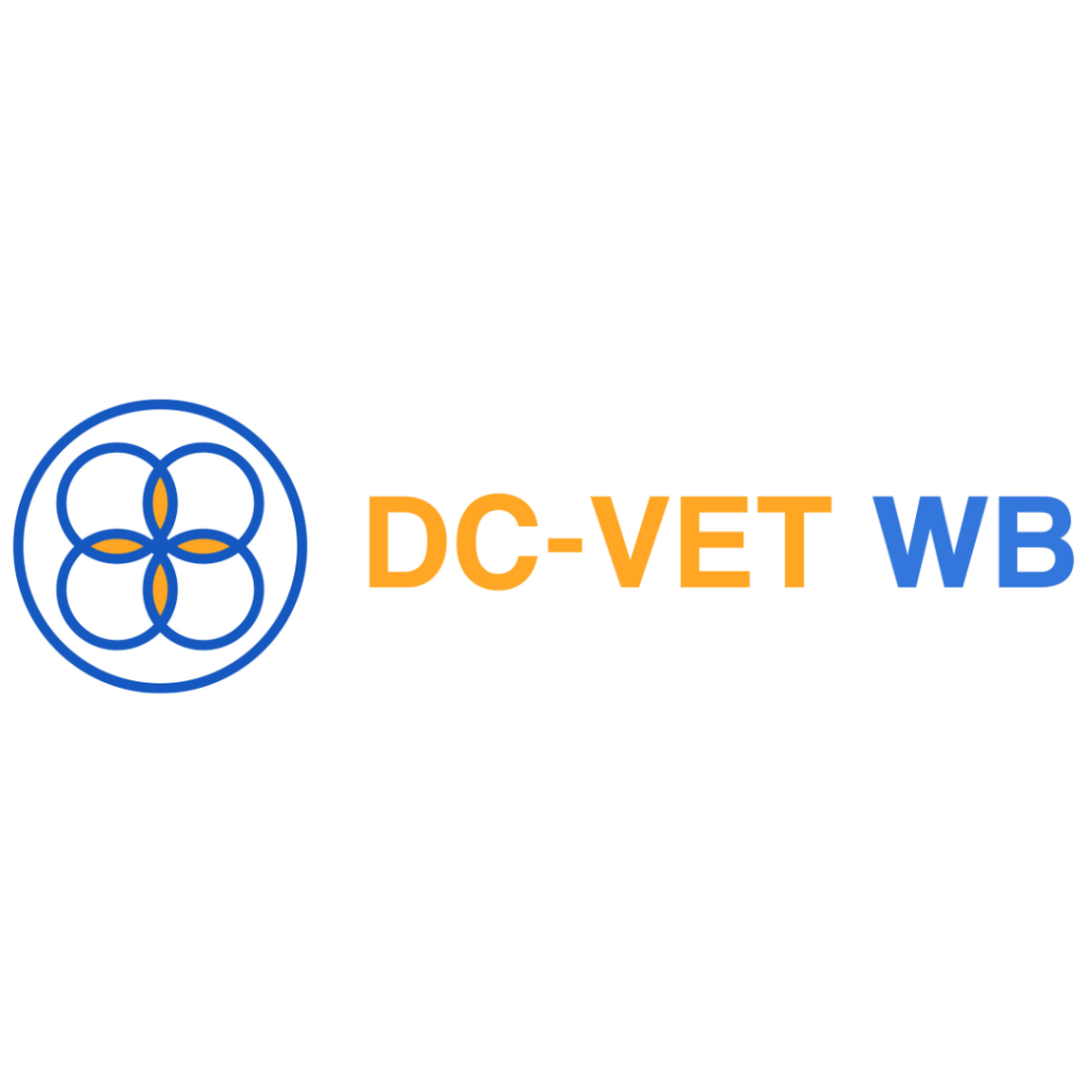 DC VET Blended Mobility Guidelines Are Now Available!